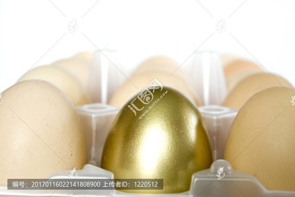 金蛋