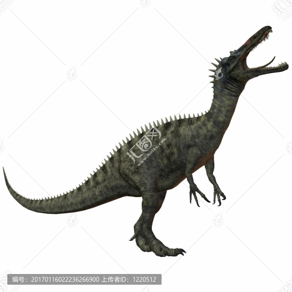似鱷龍tenerensis