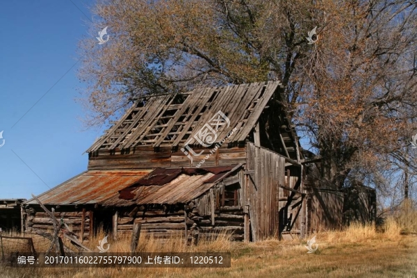 干草谷倉(cāng)-匯圖網(wǎng) www.fosd68.com 干草谷倉(cāng)