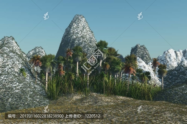 熱帶島嶼