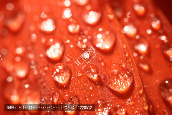 水