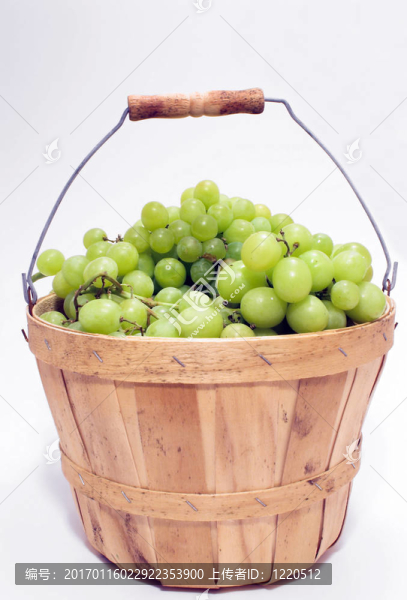 籃子里的葡萄