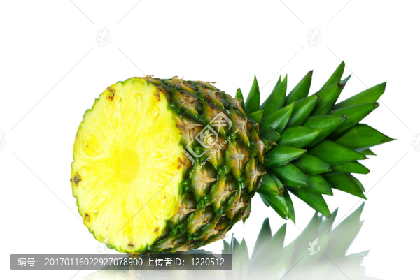 菠蘿