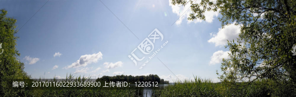 展開圖