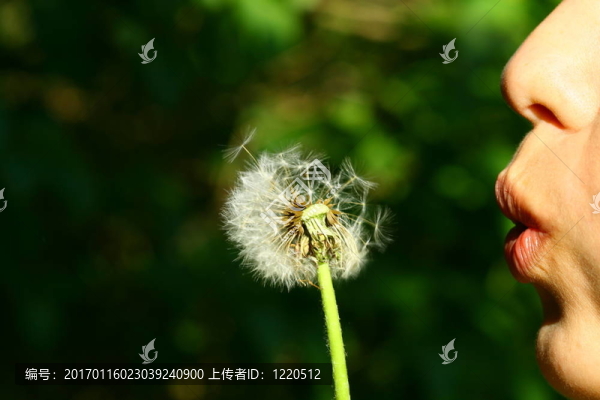我希望