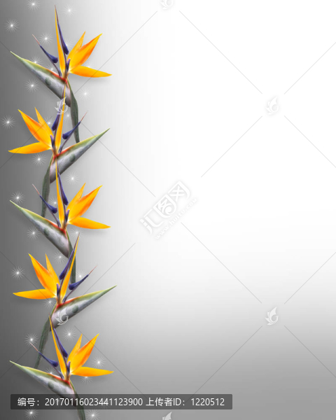 天堂之鳥(niǎo)