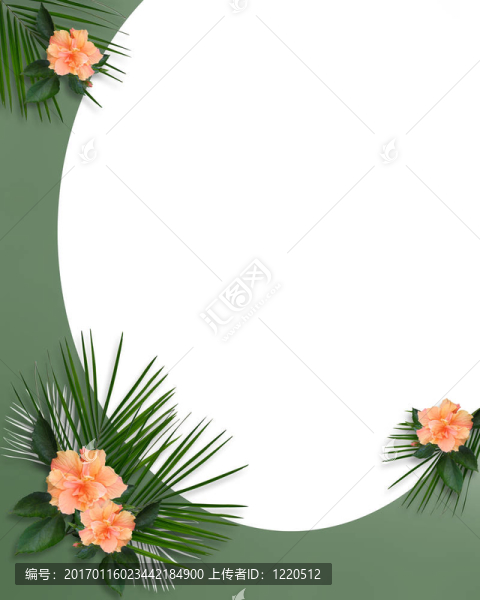 熱帶木槿邊境