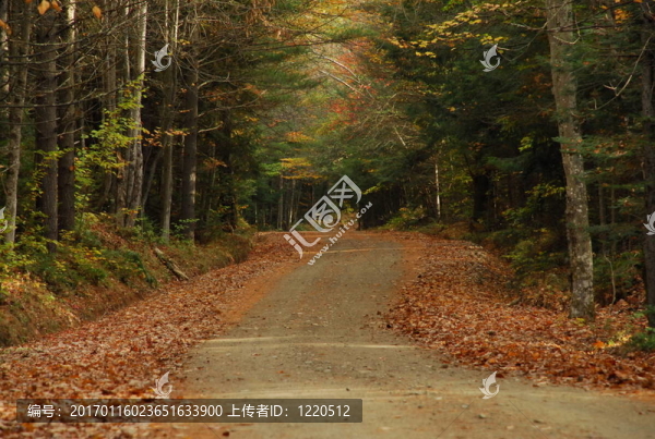 秋季鄉(xiāng)村路