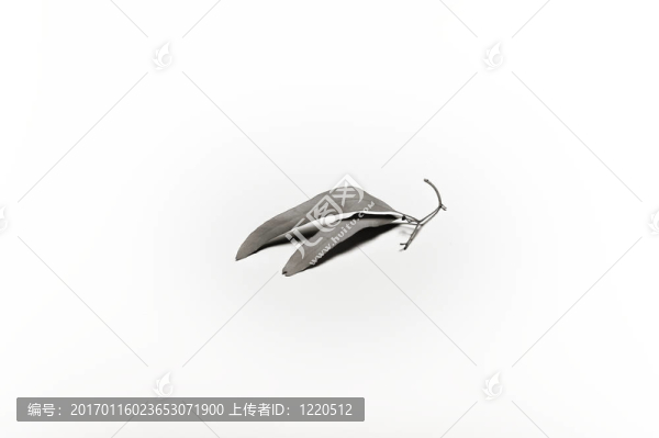 葉