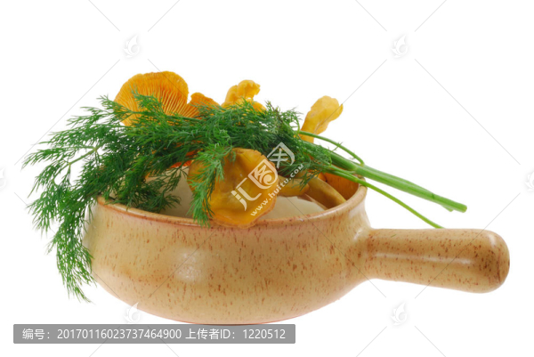 蔬菜