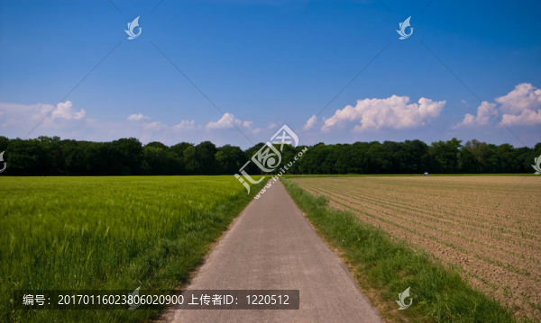 農(nóng)村公路