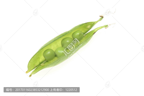 豌豆莢