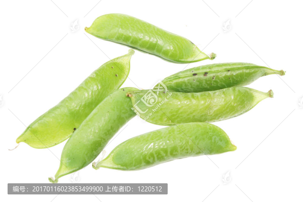 豌豆莢