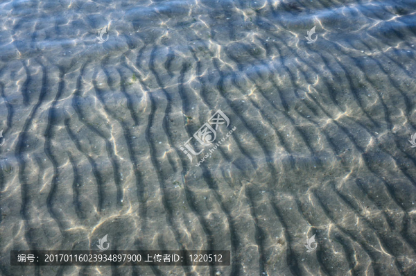桑迪海底在月光下