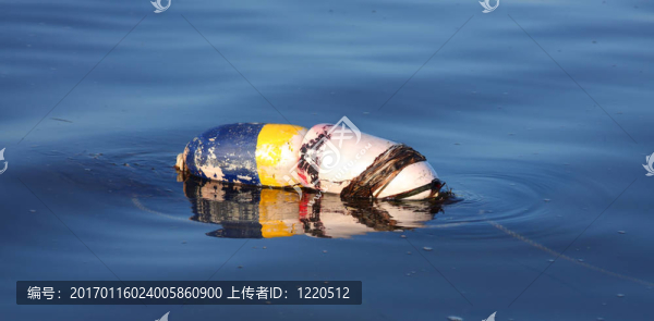 浮標