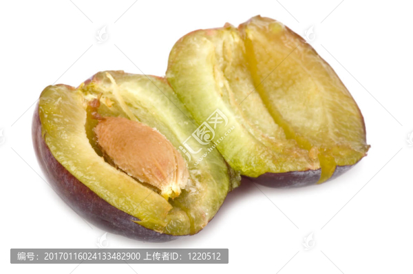 開放的梅花