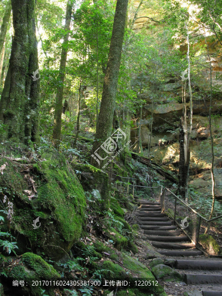 藍(lán)山國(guó)家公園；聯(lián)合國(guó)教科文組織；澳大利亞