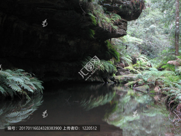 藍(lán)山國(guó)家公園；聯(lián)合國(guó)教科文組織；澳大利亞