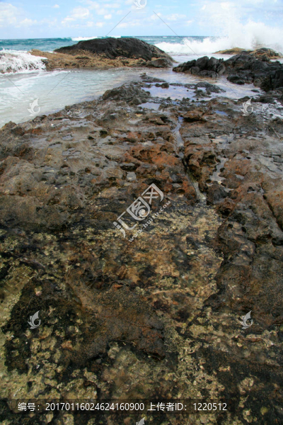 弗雷澤沙島；聯(lián)合國(guó)教科文組織；澳大利亞