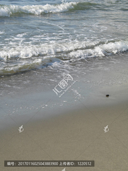 海灘上的波浪