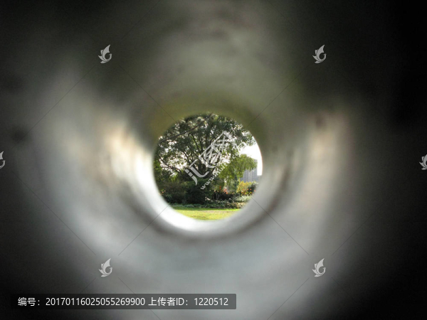 看森林-卡爾頓花園；墨爾本；澳大利亞