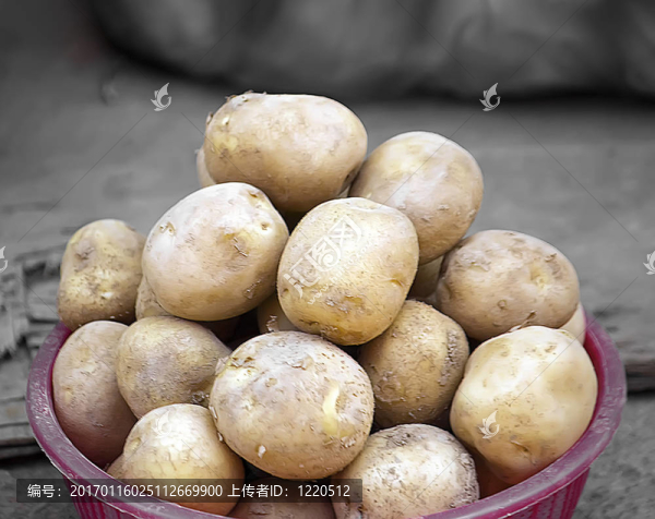 羅厄kartoffeln