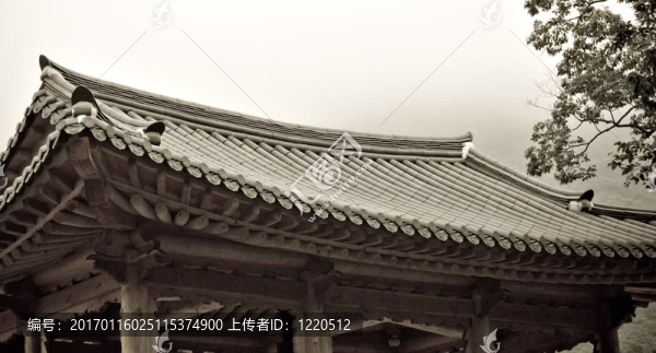 木浦的錕絛韓國(guó)
