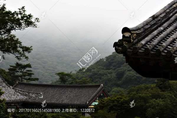 木浦的錕絛韓國
