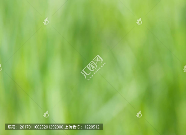 模糊的草-匯圖網(wǎng) www.fosd68.com 模糊的草