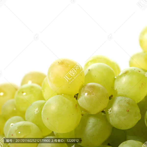 孤立的葡萄-匯圖網(wǎng) www.fosd68.com 孤立的葡萄
