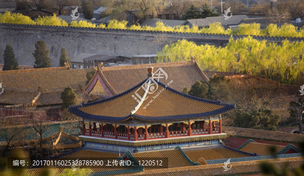藍(lán)亭北京