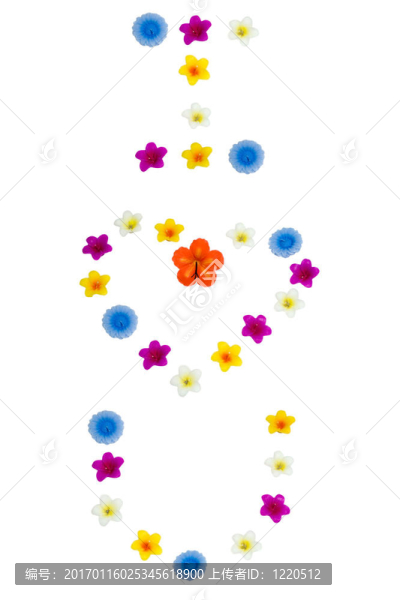 花的愛(ài)