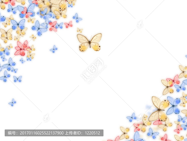 蝴蝶