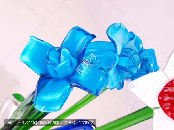 藍水晶花Clos