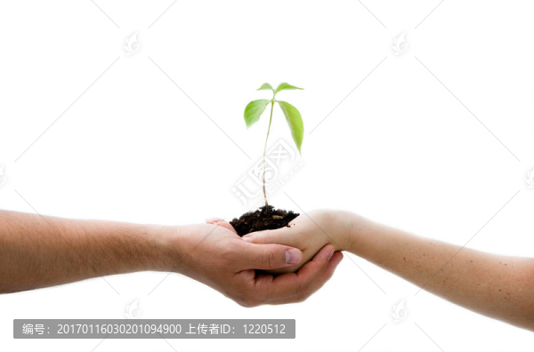 植物在手
