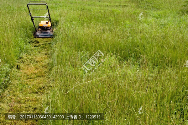 割草