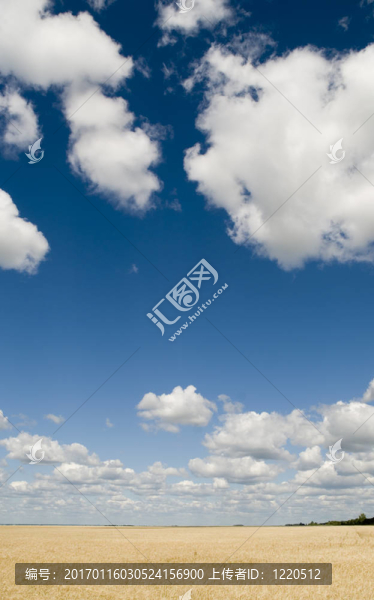 美麗的天空和草地-匯圖網(wǎng) www.fosd68.com 美麗的天空和草地