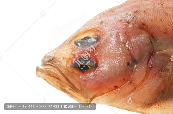 眩暈的特寫
