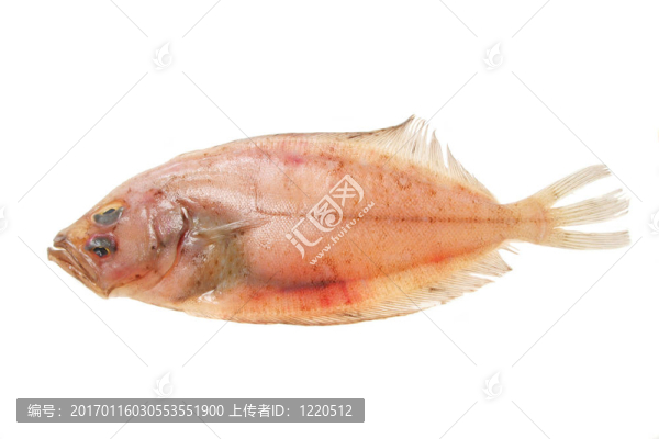偏頭痛的唯一