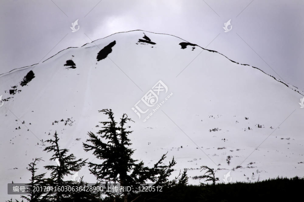 白雪山輪廓樹西沃德公路錨地阿拉斯加