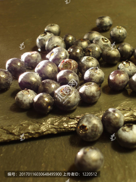 黑醋栗-匯圖網(wǎng) www.fosd68.com 黑醋栗