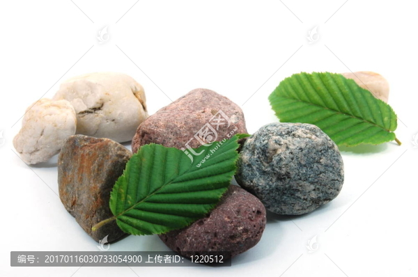 石頭和樹葉