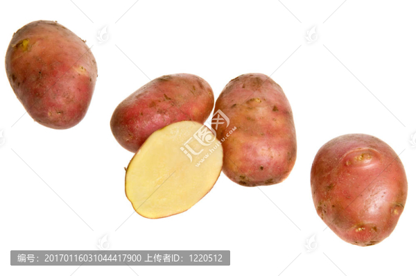 生土豆