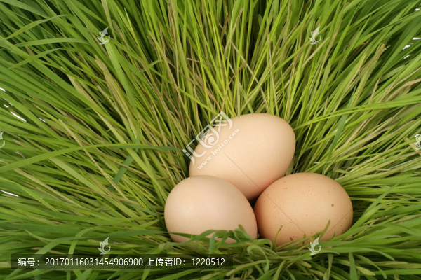 復活節(jié)彩蛋