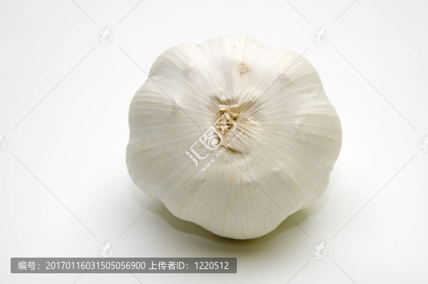 大蒜鱗莖