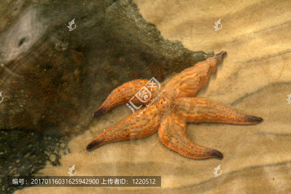 圣基爾達(dá)；墨爾本；澳大利亞