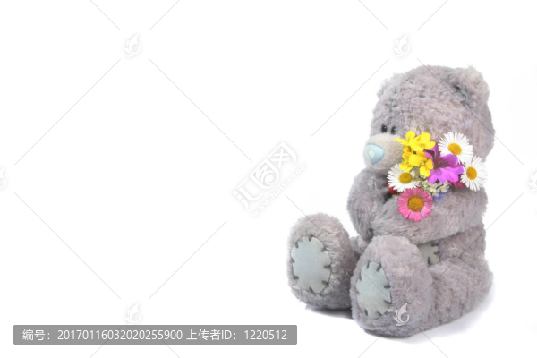 泰迪的花
