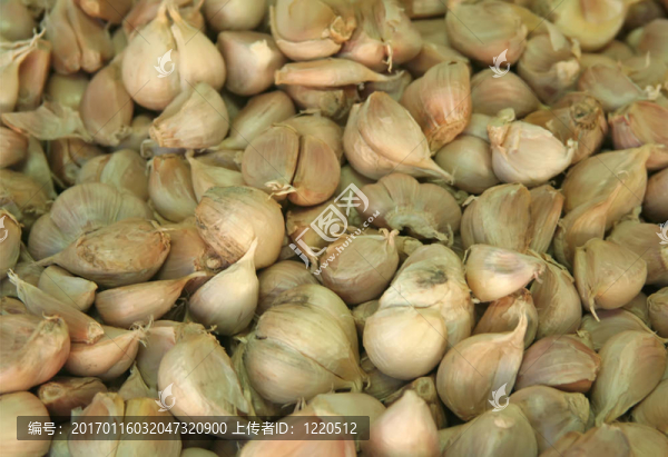 大量的蒜