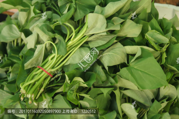 素食菠菜