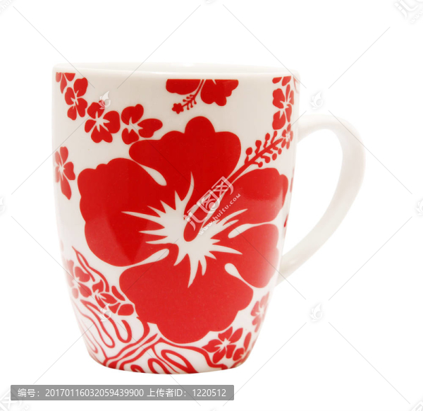 芙蓉杯